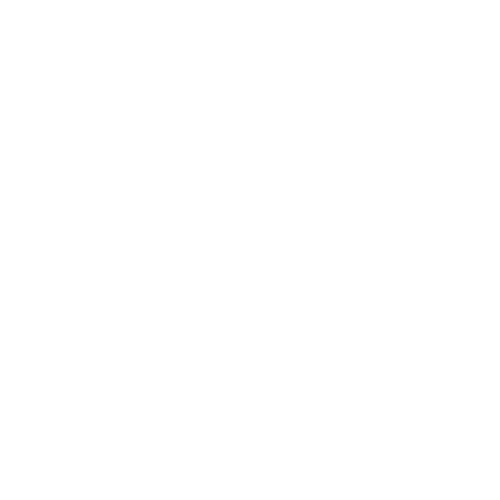 money-icon